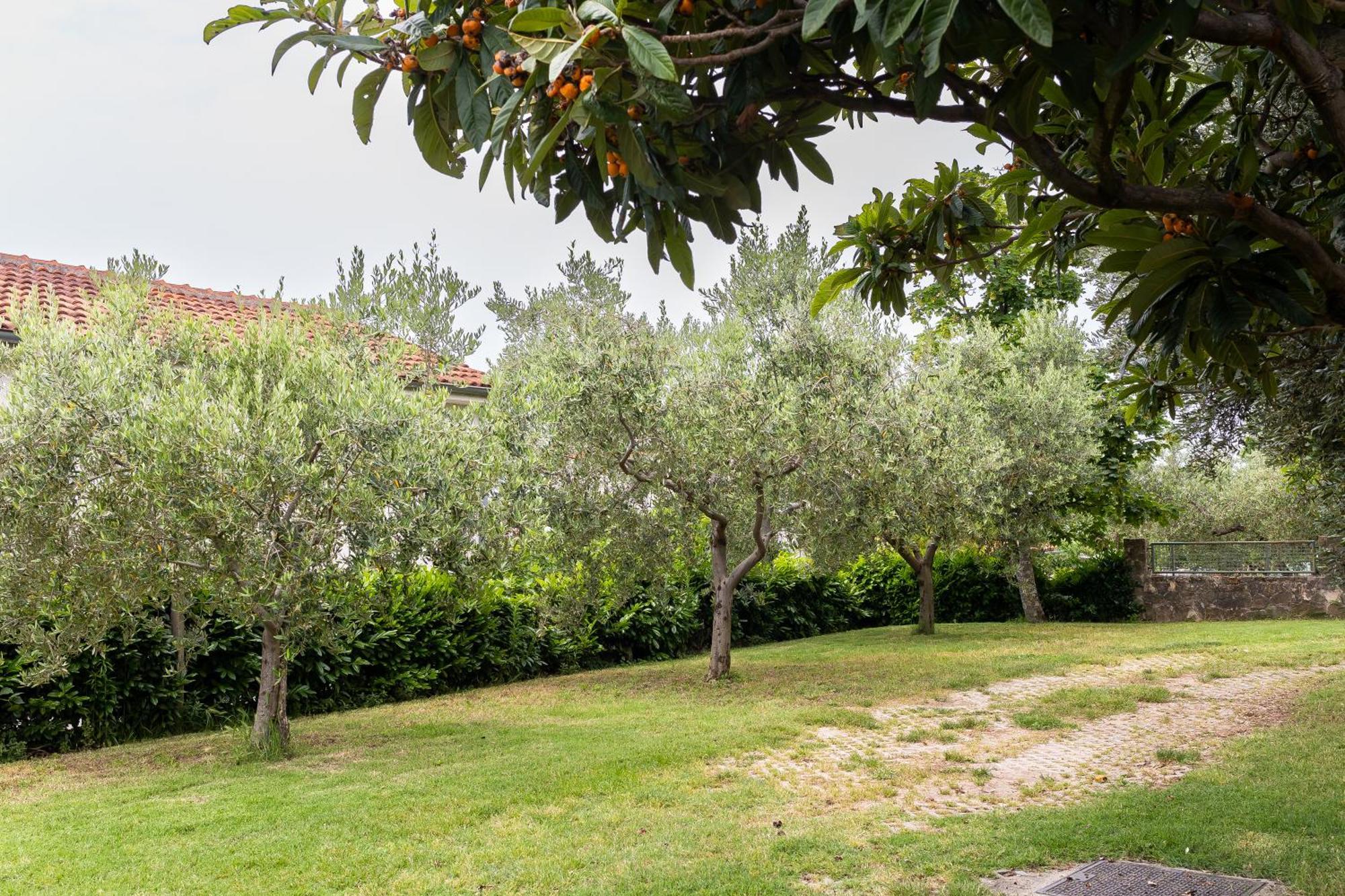Apartments Cipresa Portoroz Luaran gambar